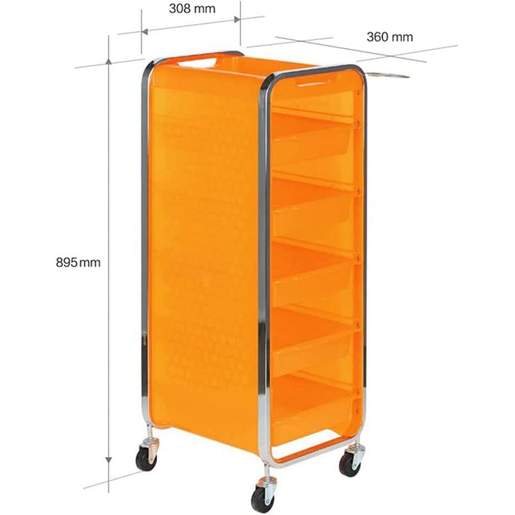 Beauty Instrument Organizer Professional Trolley for Salon
